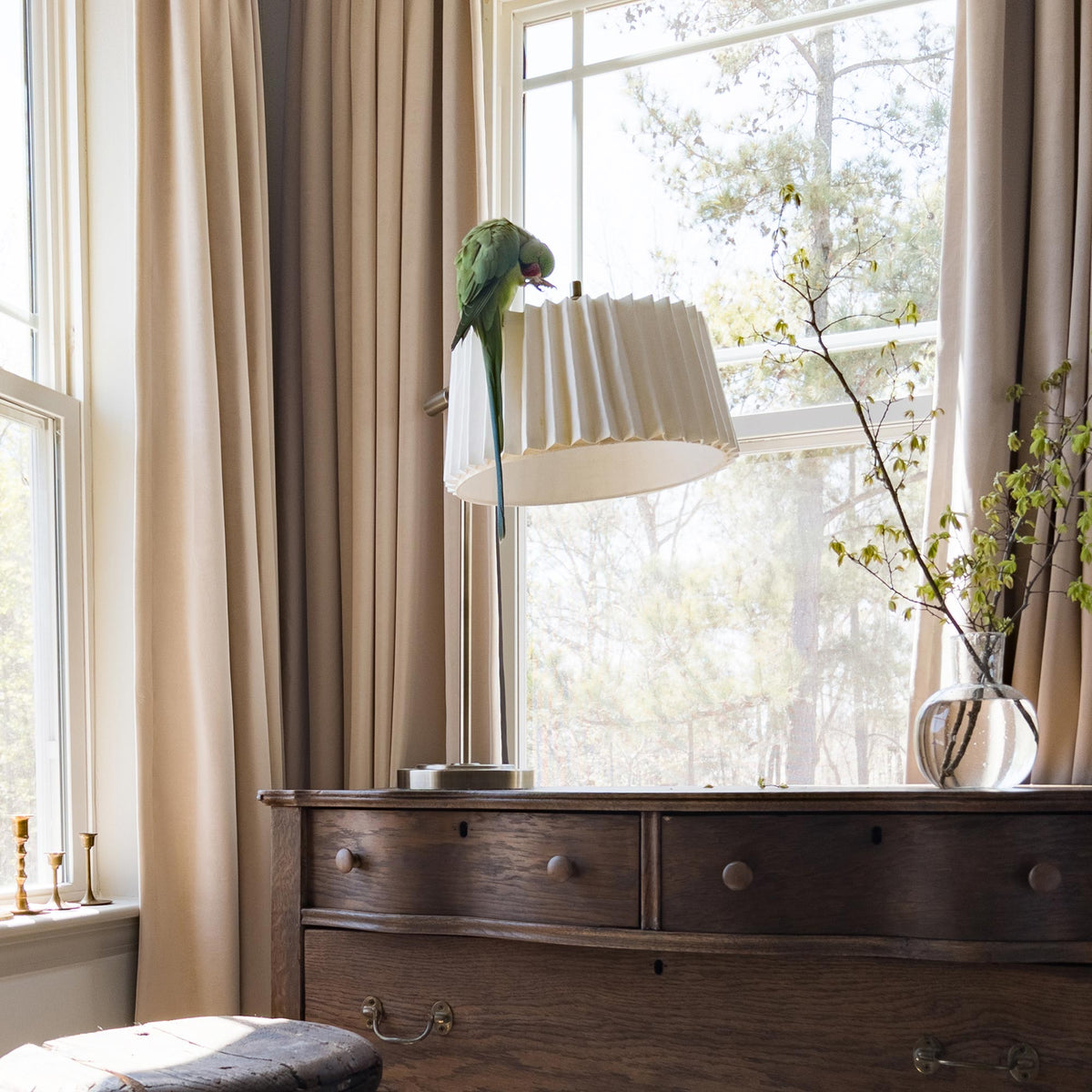 Elma Soft Blackout Velvet Curtains