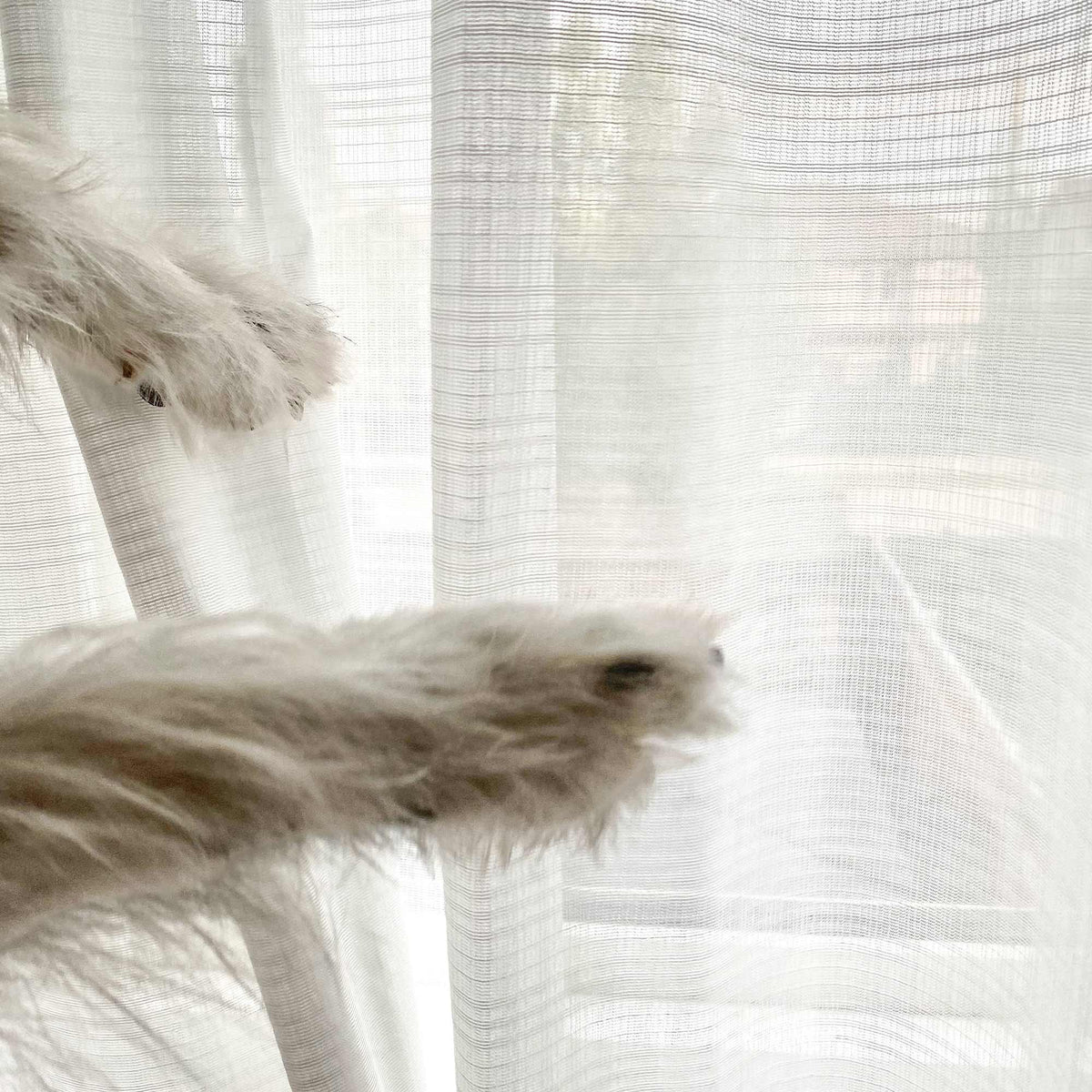 Tom Durable Scratch Resistant Sheer Curtains